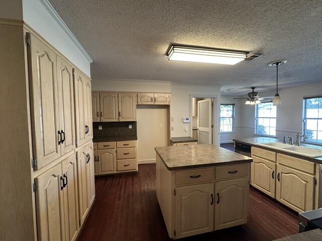 515 Chesier Court